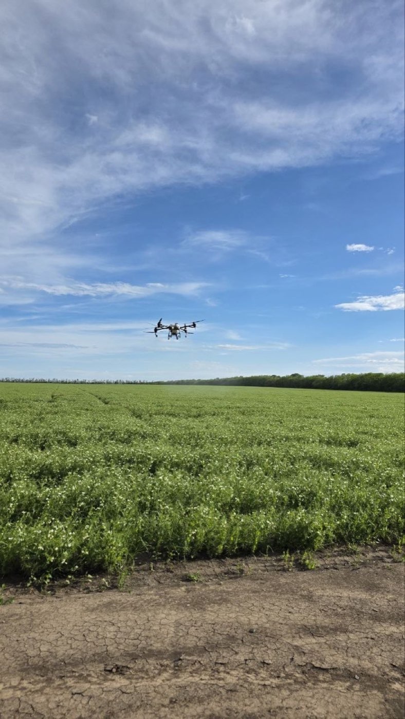 Факел распыла агродрона DJI AGRAS над полем крупным планом