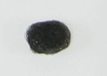 Снимок экрана 2022-10-27 в 21.50.49