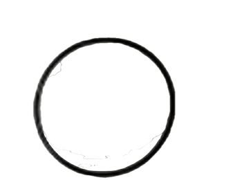 Уплотнительное кольцо двигателя Agras T100/T70/T70P (внешний диаметр = 46,8 мм)