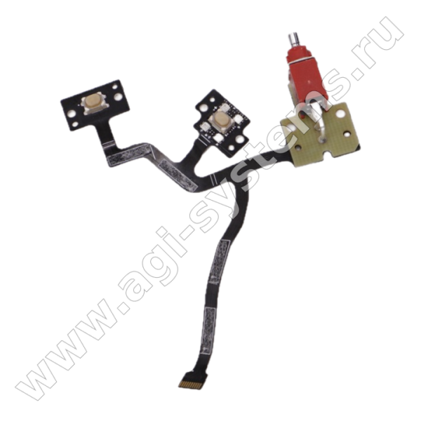 BC.EN.PP000447