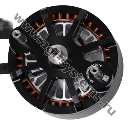 BC.AG.SS000381.01