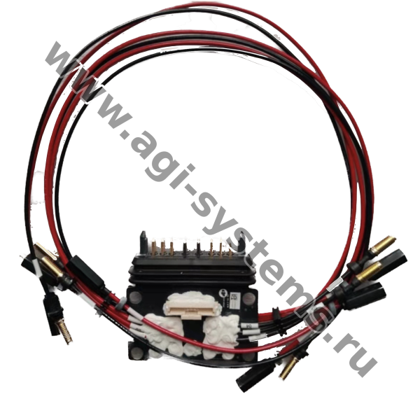 BC.AG.SS000203.01