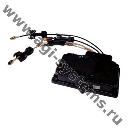BC.AG.SS000552