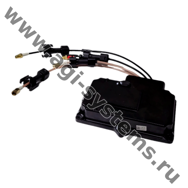 BC.AG.SS000552