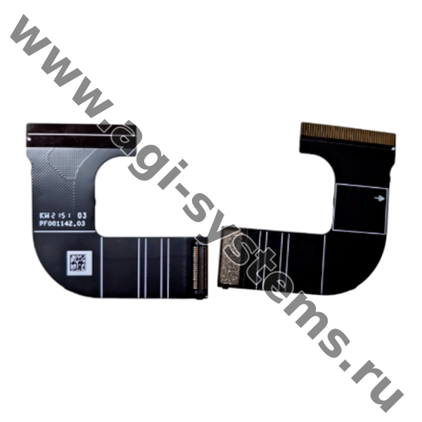 BC.EN.PP000456