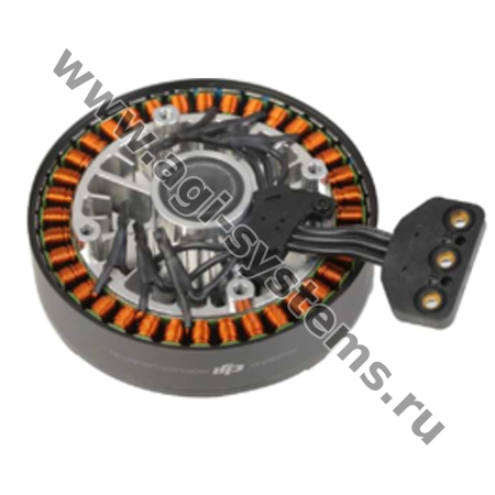 BC.AG.SS000231.01