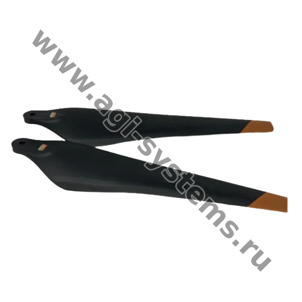 BC.AG.SS000259.01
