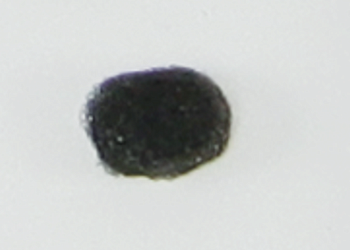 Barometer Protection Foam